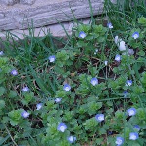 Meet your Posher, Elena